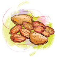 Fresh Almonds