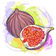 Fig