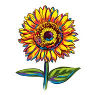 Isolated Colorful Sunflower