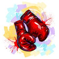 Boxing Gloves N24