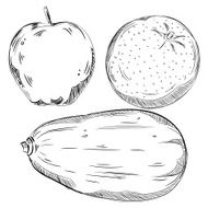 Detailed Drawings of Fruits N6