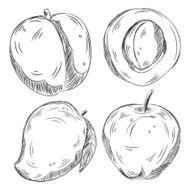 Detailed Drawings of Fruits N7