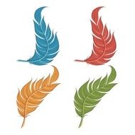 Set of feathers N7