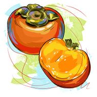 Persimmon N9
