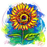 Colorful Sunflower