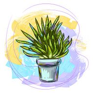 Aloe Vera N2