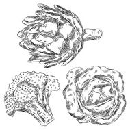 Detailed Drawings of Vegetables N6