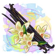 Vanilla beans and flower