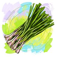 Spring Onion