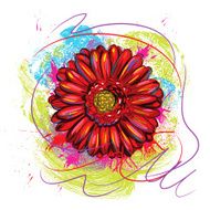 Beautiful Gerbera Flower