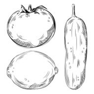 Detailed Drawings of Vegetables N7