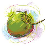 Fresh Coconut N3