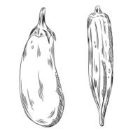 Detailed Drawings of Eggplant and Okra