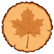 Wooden Cross Section and Maple Leaf