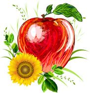 Beautiful Red Apple N3