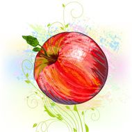 Beautiful Red Apple N16