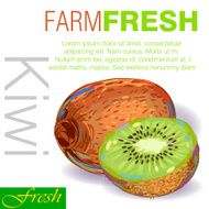 fresh Kiwi Fruit N2
