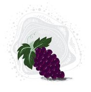 Fresh Grapes