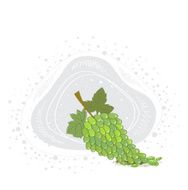Green Grapes N3