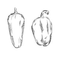 Detailed Drawings of Mini peppers