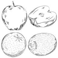 Detailed Drawings of Fruits N9