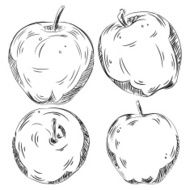 Detailed Drawings of Apple