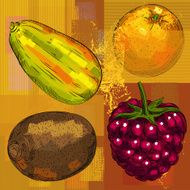 Fresh Fruits N13
