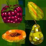 Detailed Drawings of Fruits N10