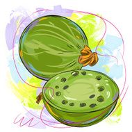 Gooseberry