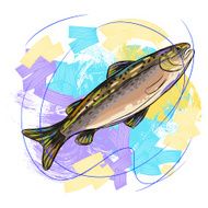 Salmon Fish N7