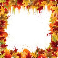 fall background N19