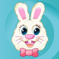 Fluffy bunny N2