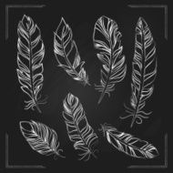 Feathers drawn with chalk on a blackboard