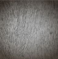 Wood Grain Texture N4