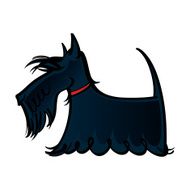 Scottie