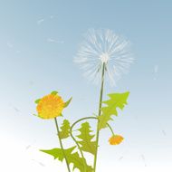 Dandelions decorative card N2