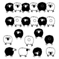 pretty sheep N7