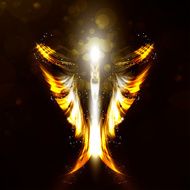 Angel N134