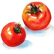 tasty tomatoes