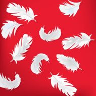 Red abstract background with feathers N2