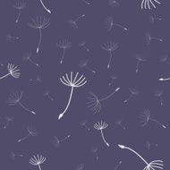 dandelion seeds flying in night sky