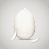 Egg in feathers