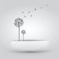 Dandelion in Paper Slit N2