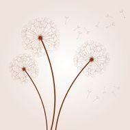 vector dandelion background N2
