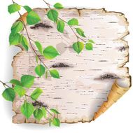 Piece of birch bark N2