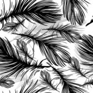 Seamless Pattern of black and white Feathers N2
