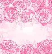 Beautiful rose design background