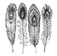 set feather with eyes