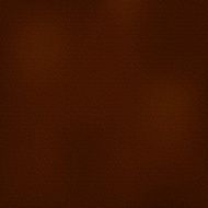 Brown leather background N4
