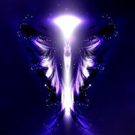 Angel N135
